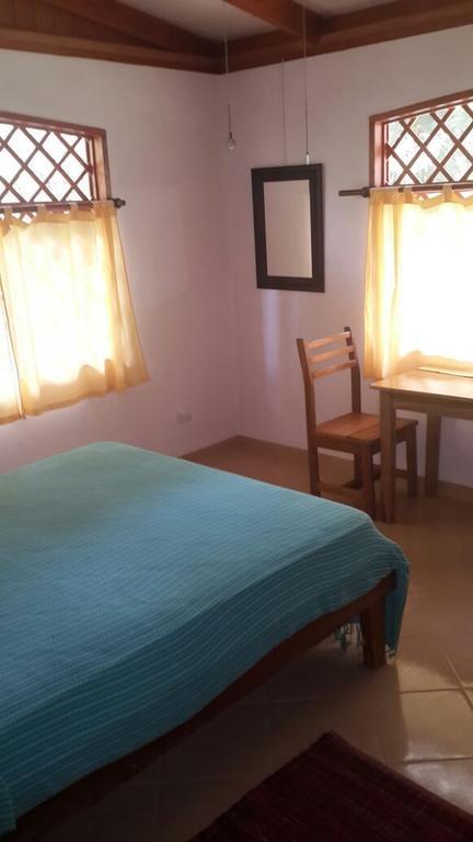 Los Delfines Lodge Puerto Viejo de Talamanca Phòng bức ảnh