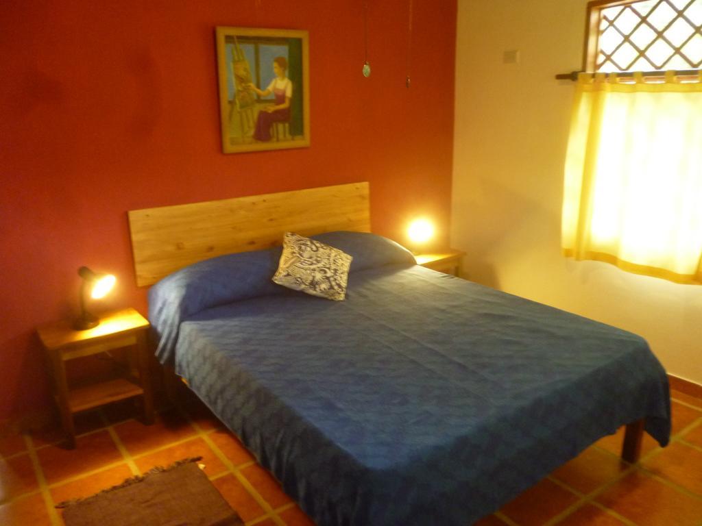 Los Delfines Lodge Puerto Viejo de Talamanca Phòng bức ảnh