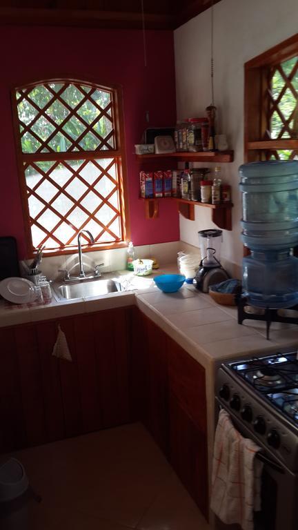 Los Delfines Lodge Puerto Viejo de Talamanca Phòng bức ảnh