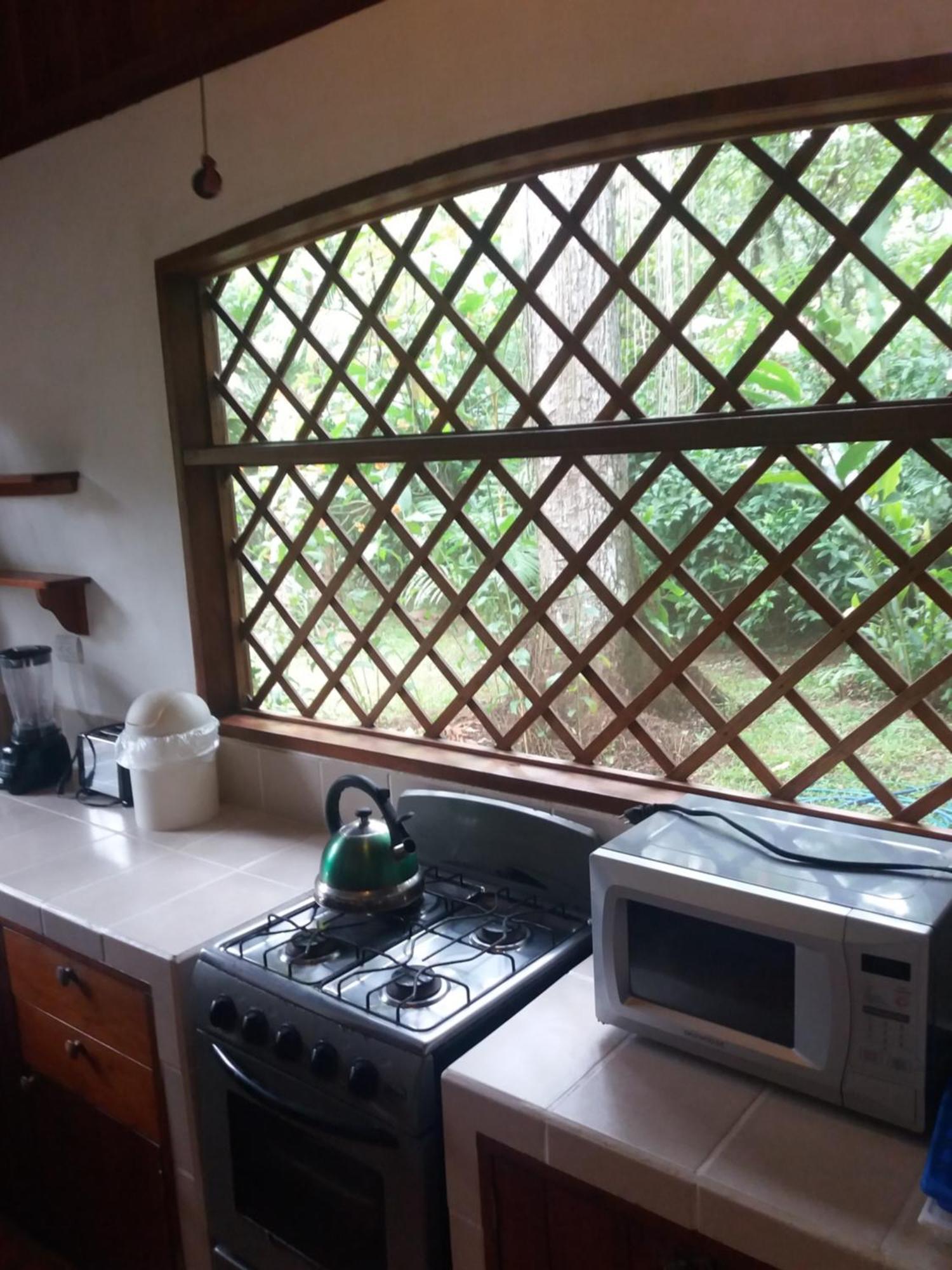 Los Delfines Lodge Puerto Viejo de Talamanca Ngoại thất bức ảnh