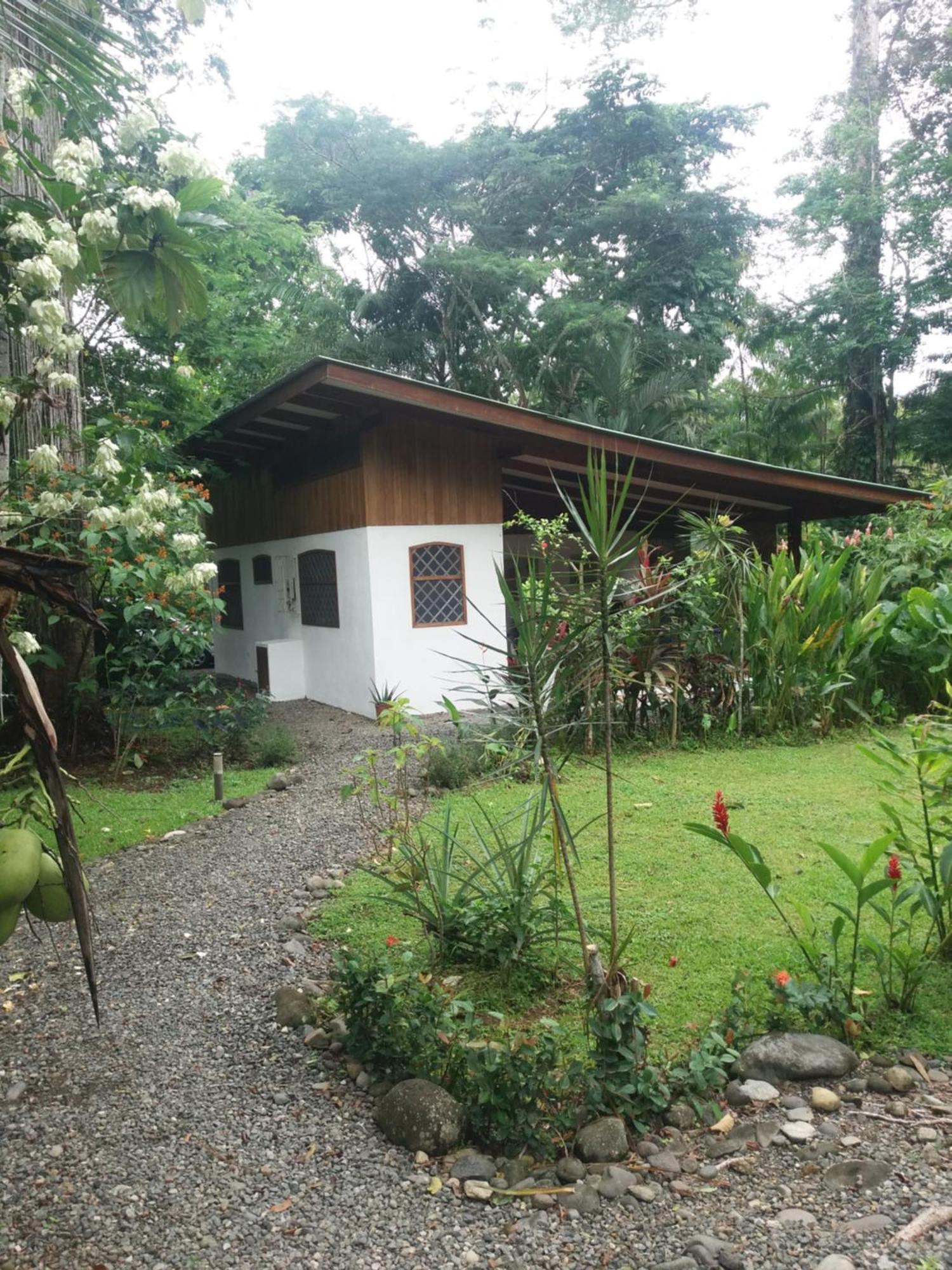 Los Delfines Lodge Puerto Viejo de Talamanca Ngoại thất bức ảnh